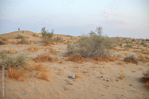 sandy landscape with small sandy vegetation . There are two children standing on the dune. people are not recognizable. evening time