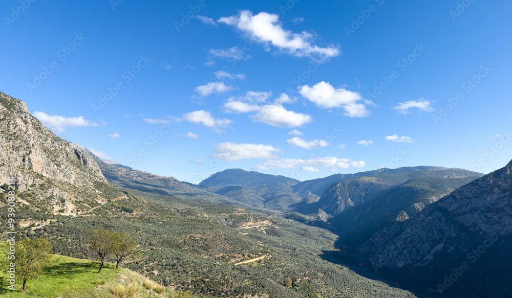 Fototapeta premium Mountain landscape, fir ttrees forest and blue sky. Parnassos mountain Greece,