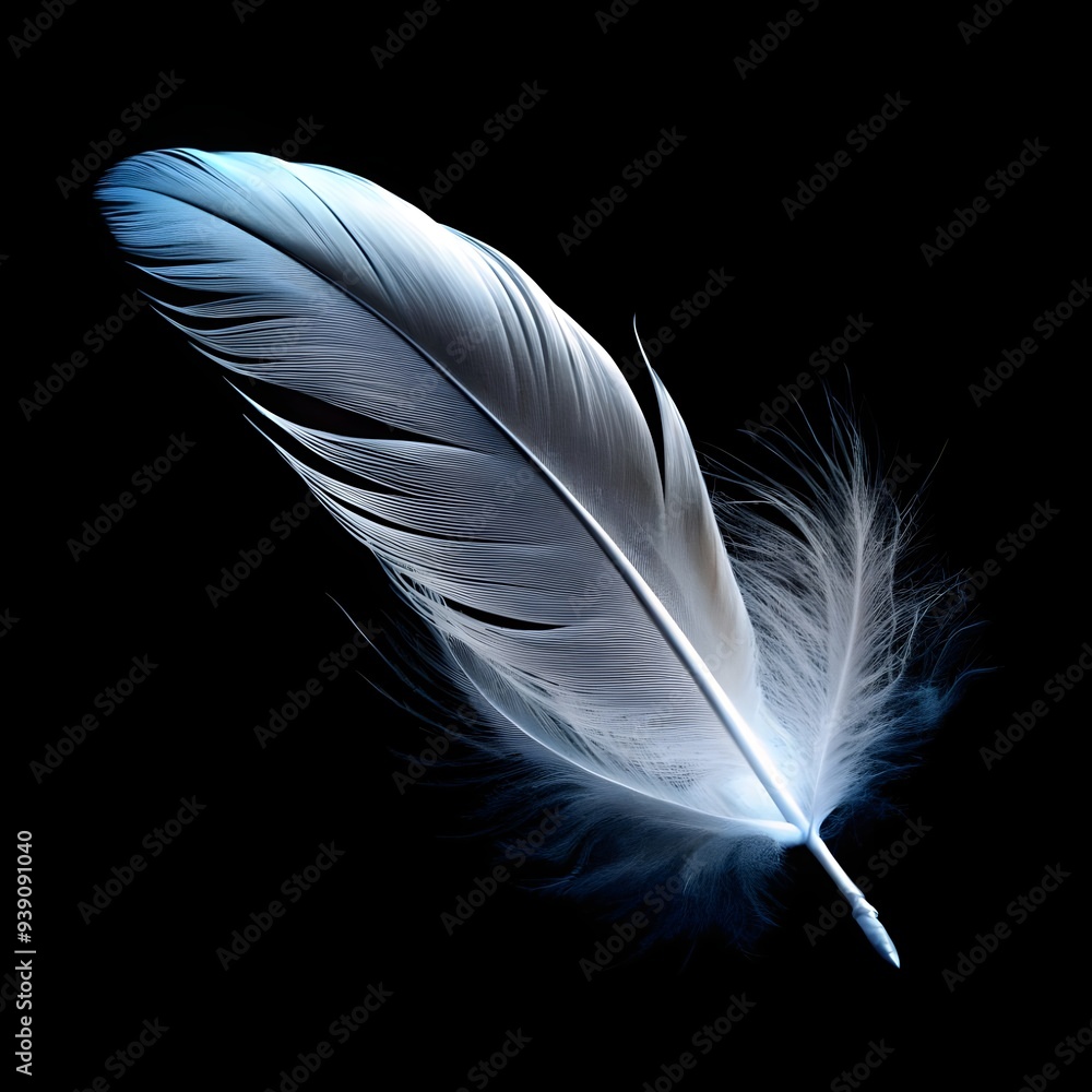 ethereal white feather floating isolated on pure ethereal white feather floating isolated on pure