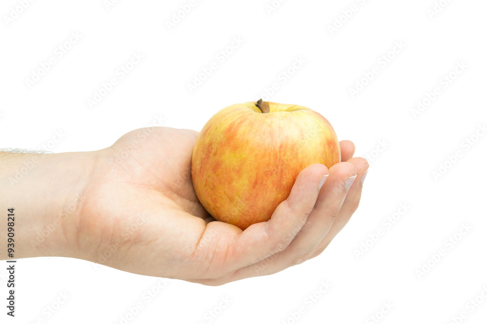 Male hand holding apple isolated on white background Male hand holding apple isolated on white background