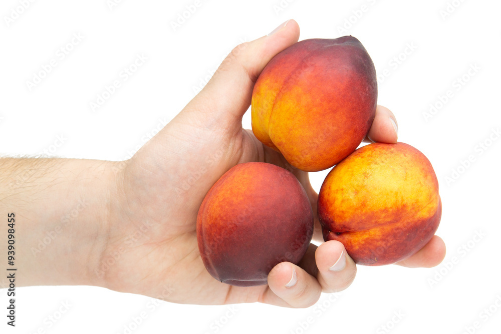 Male hand holding peaches isolated on white background Male hand holding peaches isolated on white background