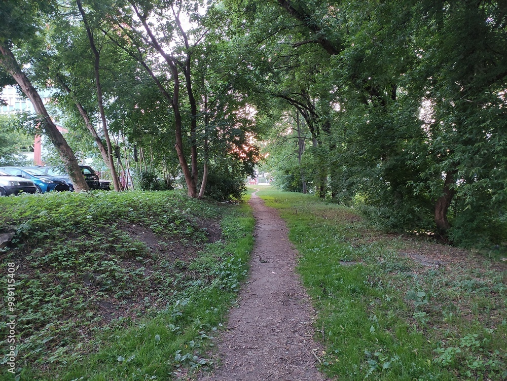 Path going through the park and parking lot Path going through the park and parking lot