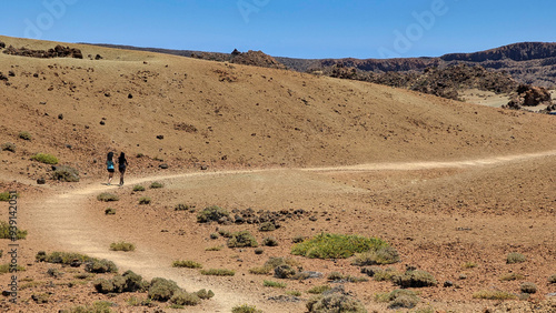 Path to visit the ancient cedar known as El Patriarca from San Jose mines, Teide National Park, Tenerife, Spain photo