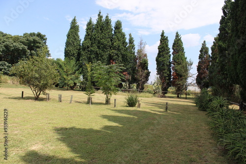 path in the garden surrounded by trees