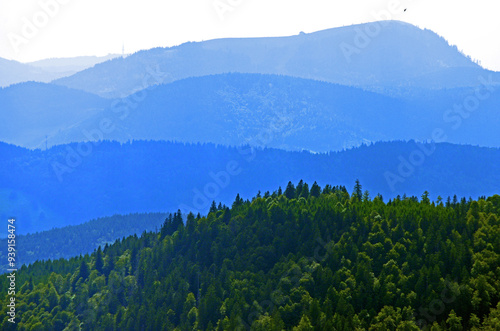 malerischer Schwarzwald photo