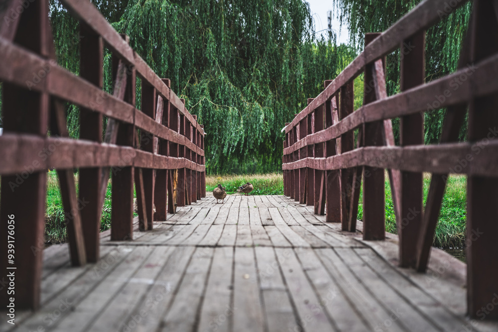 Wooden pedestrian bridge leading to the island. Ducks are sitting on the bridge Wooden pedestrian bridge leading to the island. Ducks are sitting on the bridge