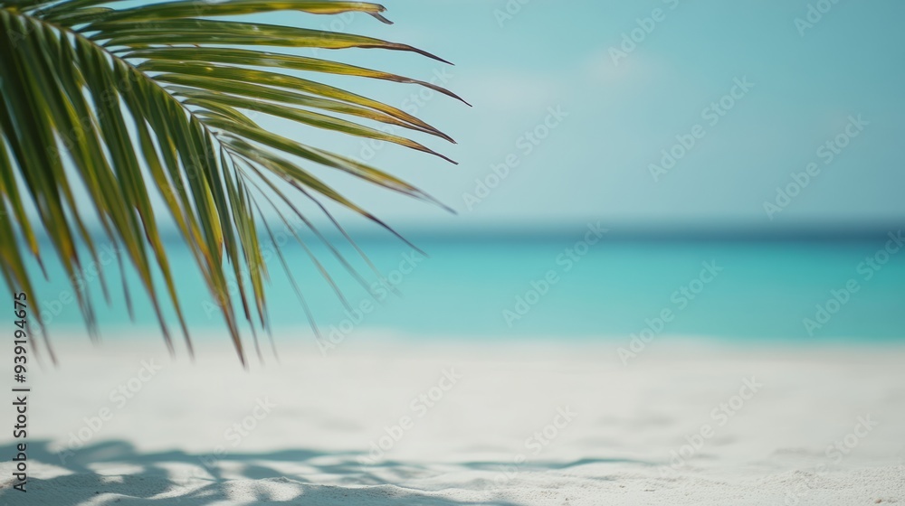 Business, tourism concepts, beach, palm, sea, tropical, tree, ocean, sand, island, sky, water, travel, paradise, nature, summer, vacation, coast, coconut, landscape, sun, caribbean, holiday Business, tourism concepts, beach, palm, sea, tropical, tree, ocean, sand, island, sky, water, travel, paradise, nature, summer, vacation, coast, coconut, landscape, sun, caribbean, holiday