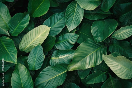 Lush Green Tropical Leaves Texture Background