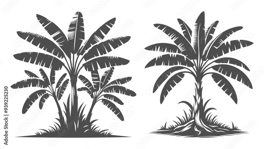 Fototapeta premium Banana Tree Silhouette Set. Vector Icon Art.
