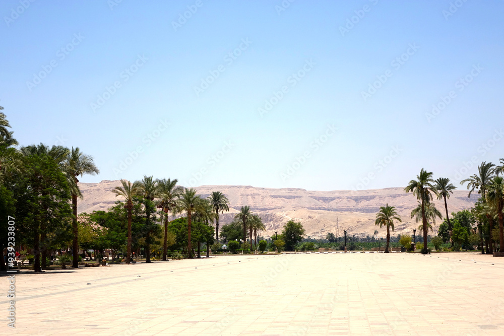 Sunny Day at Karnak Temple Complex With Palm Trees and Distant Hills in Egypt