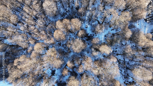 Patagonia Forest At Ushuaia In End Of The World Argentina. Winter Landscape. Amazing Outdoor. End Of The World Argentina. Snow Capped Forest. Patagonia Forest At Ushuaia In End Of The World Argentina. photo