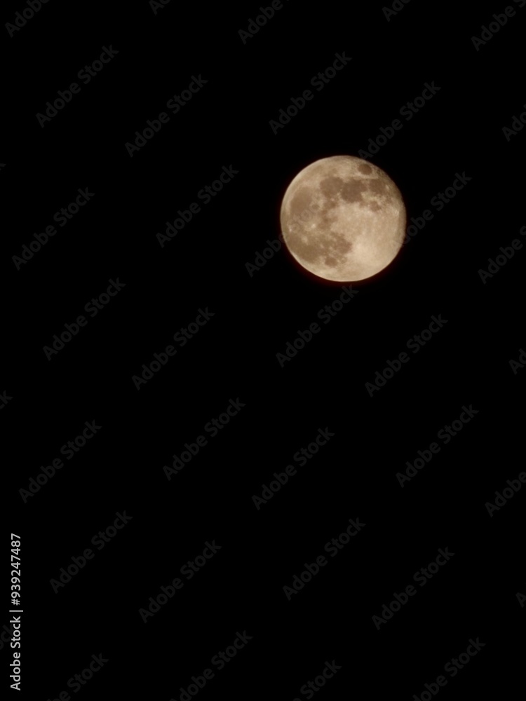 moon moon