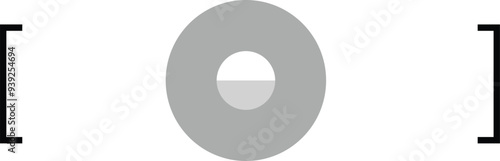 Camera viewfinder. Video camera screen. video camera display. Camera recording screen, viewfinder on black background. Modern focusing screen. 4k Animation video