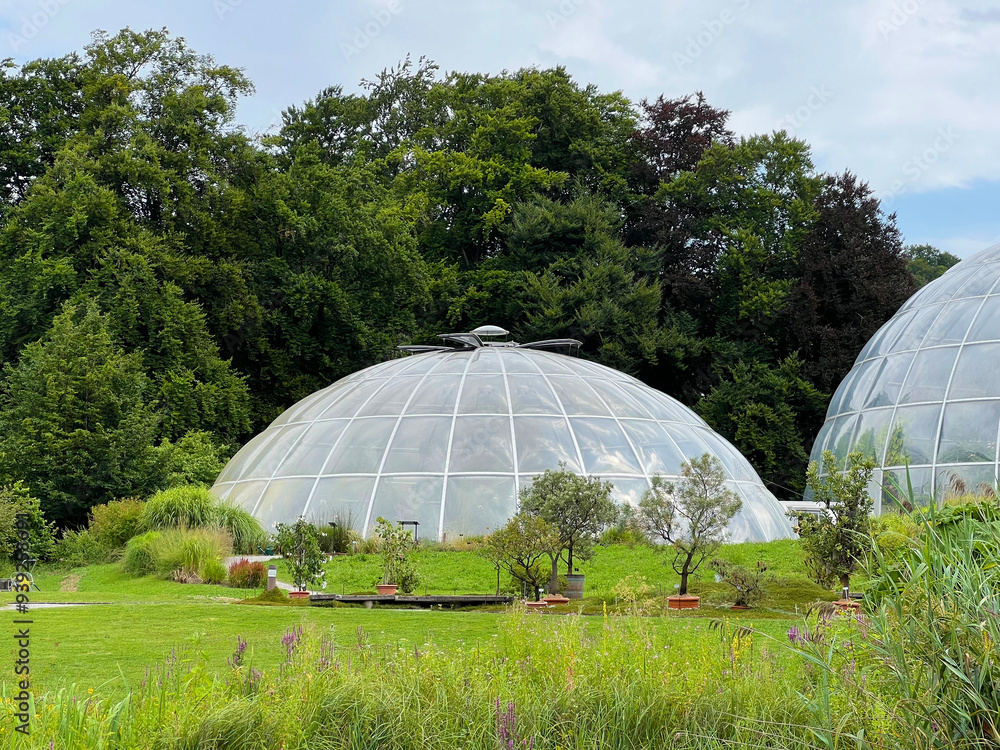 The Botanical Garden of the University of Zurich or Botanischer Garten der Universität Zürich (Botanischer Garten der Universitat Zurich - Botanischer Garten der Universitaet Zuerich) The Botanical Garden of the University of Zurich or Botanischer Garten der Universität Zürich (Botanischer Garten der Universitat Zurich - Botanischer Garten der Universitaet Zuerich)