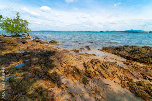 Sea beach wave coast line with tropical tree blue sky with cloud summer vacation