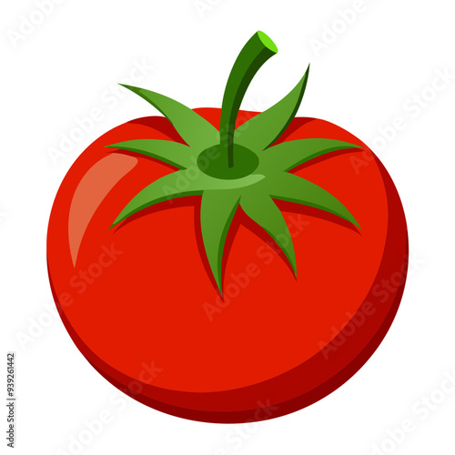 tomato vector, illustration of tomato isolated on white background