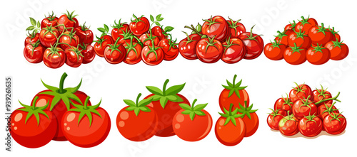tomato vector, illustration of tomato isolated on white background