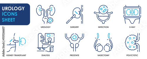 A set of line icons related to Urology. Urine, kidney, surgery, infection, x-ray, disease, dialysis, vasectomy, and polycystic. Vector outline icons set.