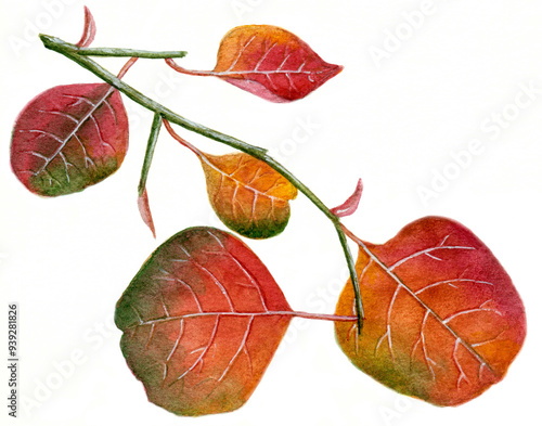 Branch of red autumn leaves