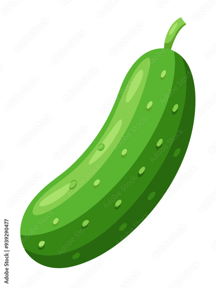 cucumber vector, illustration of cucumber isolated on white background cucumber vector, illustration of cucumber isolated on white background