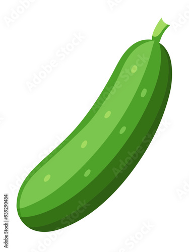 cucumber vector, illustration of cucumber isolated on white background