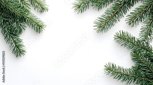 Christmas pine branches, evergreen sprigs, pure white background, copy space for text, festive border, green fir twigs, panoramic composition, minimalist holiday design.