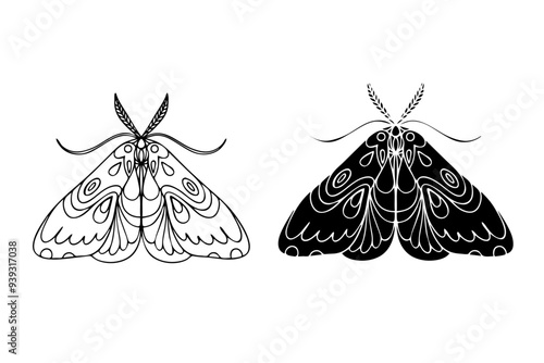 Line sketch,silhouette,stamp of winged insect night moth,butterfly.Vector graphics.