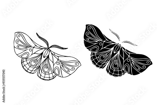 Line sketch,silhouette,stamp of winged insect night moth,butterfly.Vector graphics.