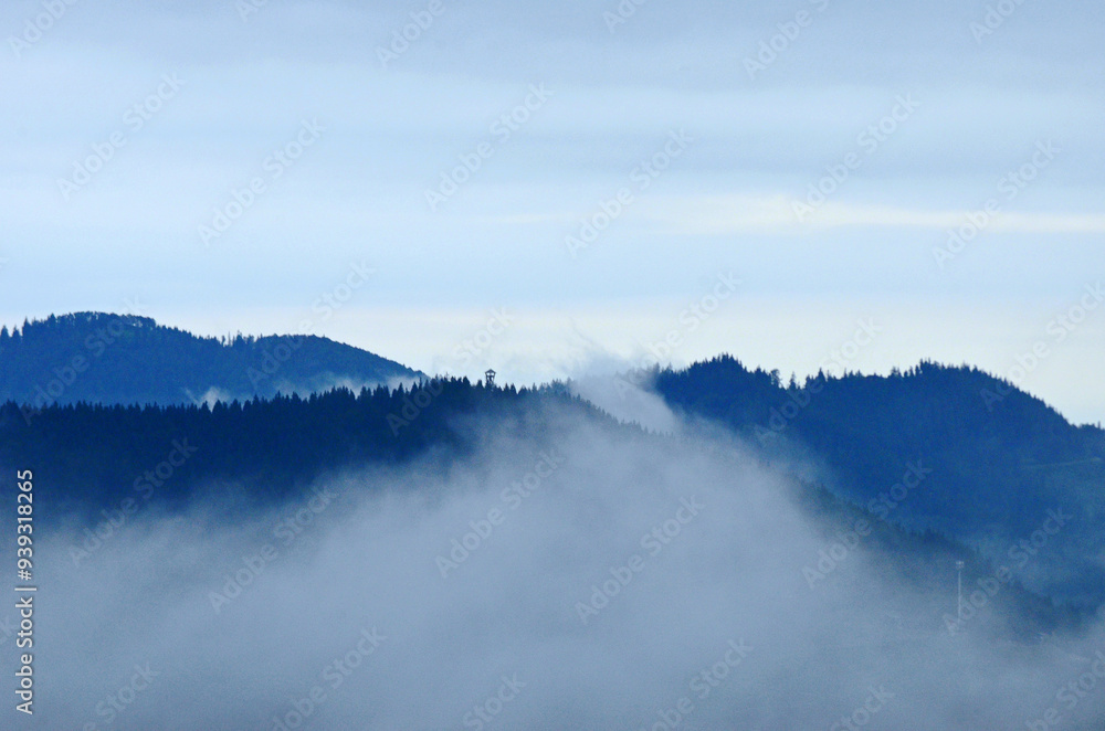 Nebel liegt über dem Schwarzwald Nebel liegt über dem Schwarzwald