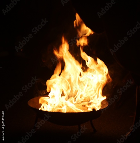 Guidonia Fairyland ft 10