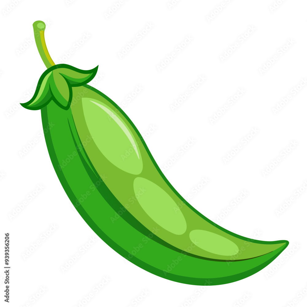 green bean vector, illustration of green bean isolated on white background green bean vector, illustration of green bean isolated on white background