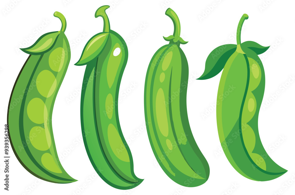 green bean vector, illustration of green bean isolated on white background green bean vector, illustration of green bean isolated on white background