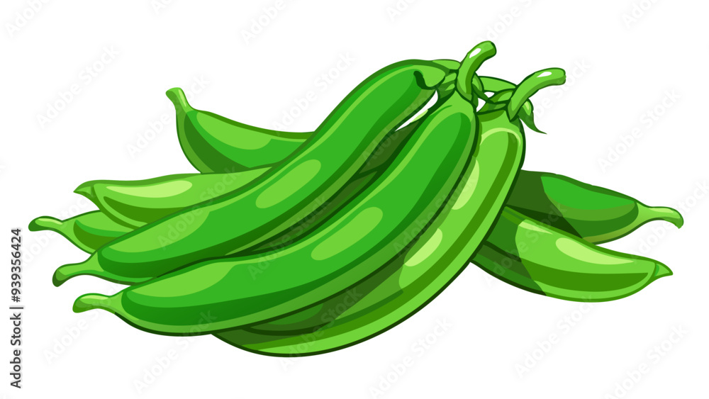 green bean vector, illustration of green bean isolated on white background green bean vector, illustration of green bean isolated on white background