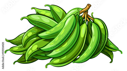 green bean vector, illustration of green bean isolated on white background