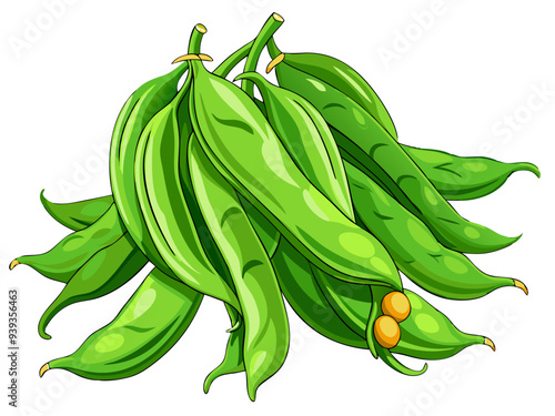 green bean vector, illustration of green bean isolated on white background