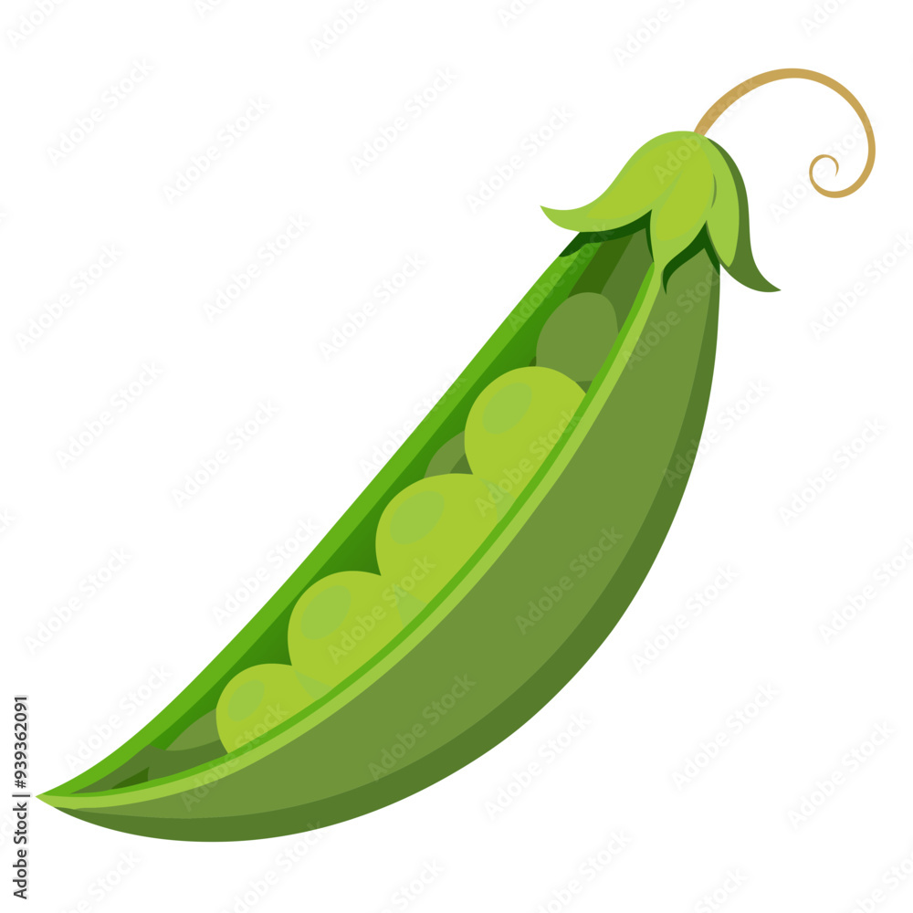green peas, pea vector, illustration of pea isolated on white background green peas, pea vector, illustration of pea isolated on white background