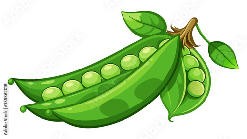 green peas, pea vector, illustration of pea isolated on white background