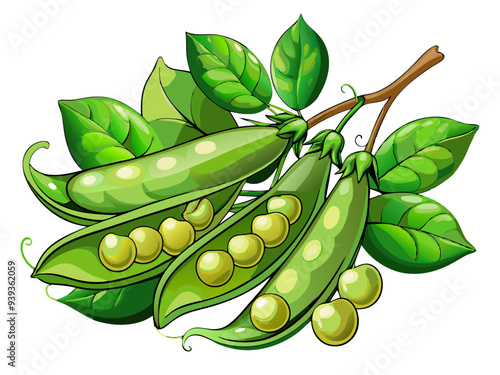 green peas, pea vector, illustration of pea isolated on white background