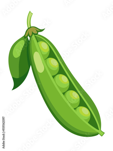 green peas, pea vector, illustration of pea isolated on white background
