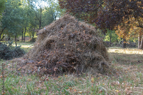 A large pile of cut branches and leaves in the park has been turned into natural, eco-friendly, biodegradable hay with dried grass on top of it photo