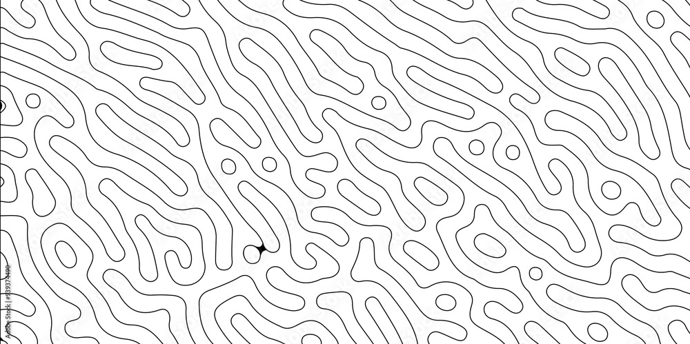 Abstract seamless turing pattern minimal organic geometric white background. black stock line abstract pattern Transparent monochrome striped texture, seamless pattern, modern stylish texture. Abstract seamless turing pattern minimal organic geometric white background. black stock line abstract pattern Transparent monochrome striped texture, seamless pattern, modern stylish texture.