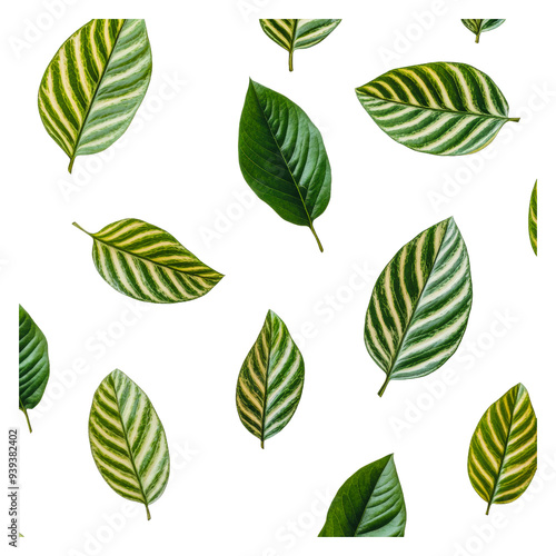 PNG Artful green leaves on white backdrop