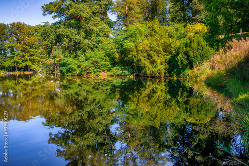 Dense thickets around the lake. Reflection of trees in the water. photo