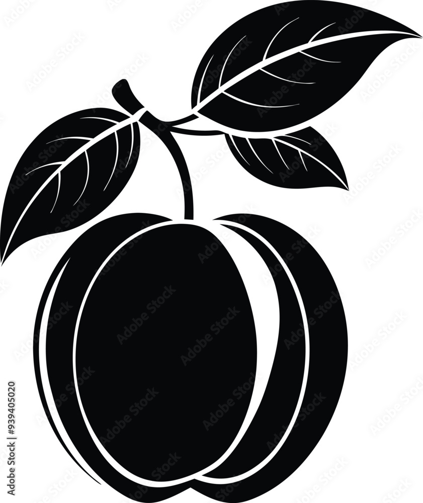 Apricot fruit silhouette illustration black and white Apricot fruit silhouette illustration black and white
