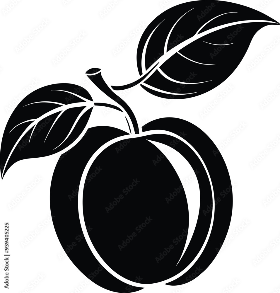 Apricot fruit silhouette illustration black and white Apricot fruit silhouette illustration black and white