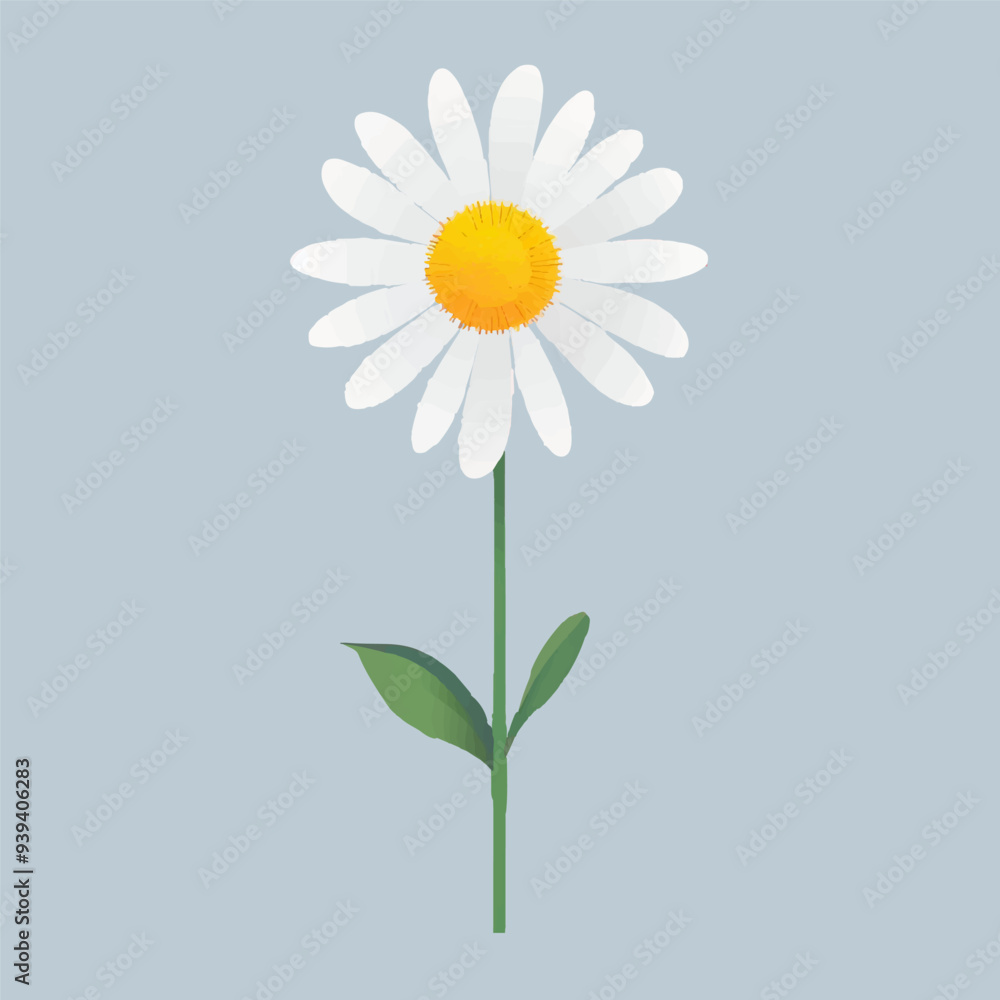 daisy flower set cartoon. white nature plant, summer floral, spring blossom, yellow chamomile, petal camomile, beautiful daisy flower vector illustration