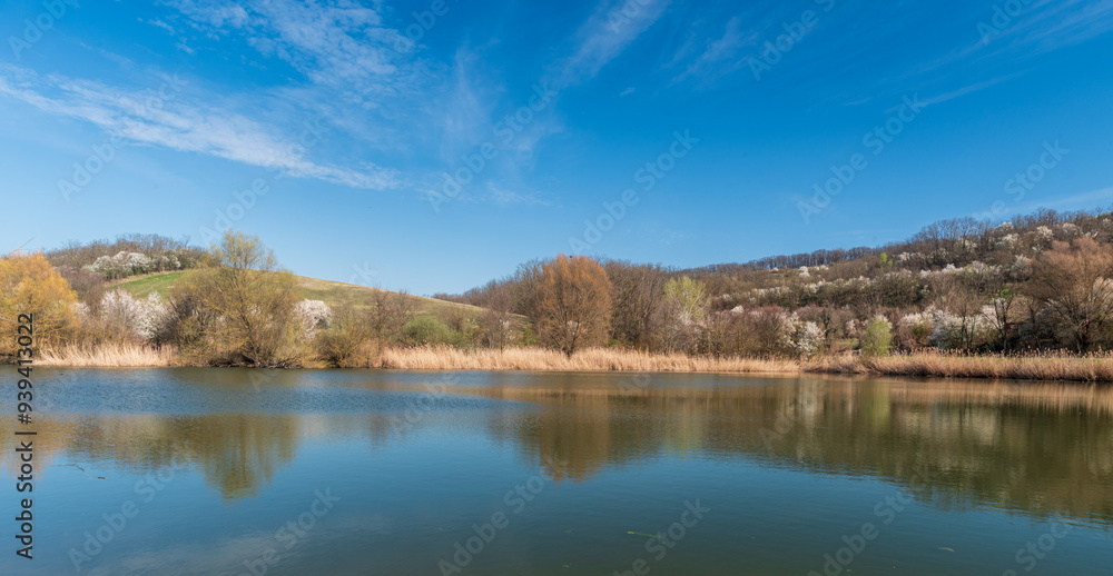 Pond and lower hills covered by blossoming trees during early springtime day with blue sky Pond and lower hills covered by blossoming trees during early springtime day with blue sky