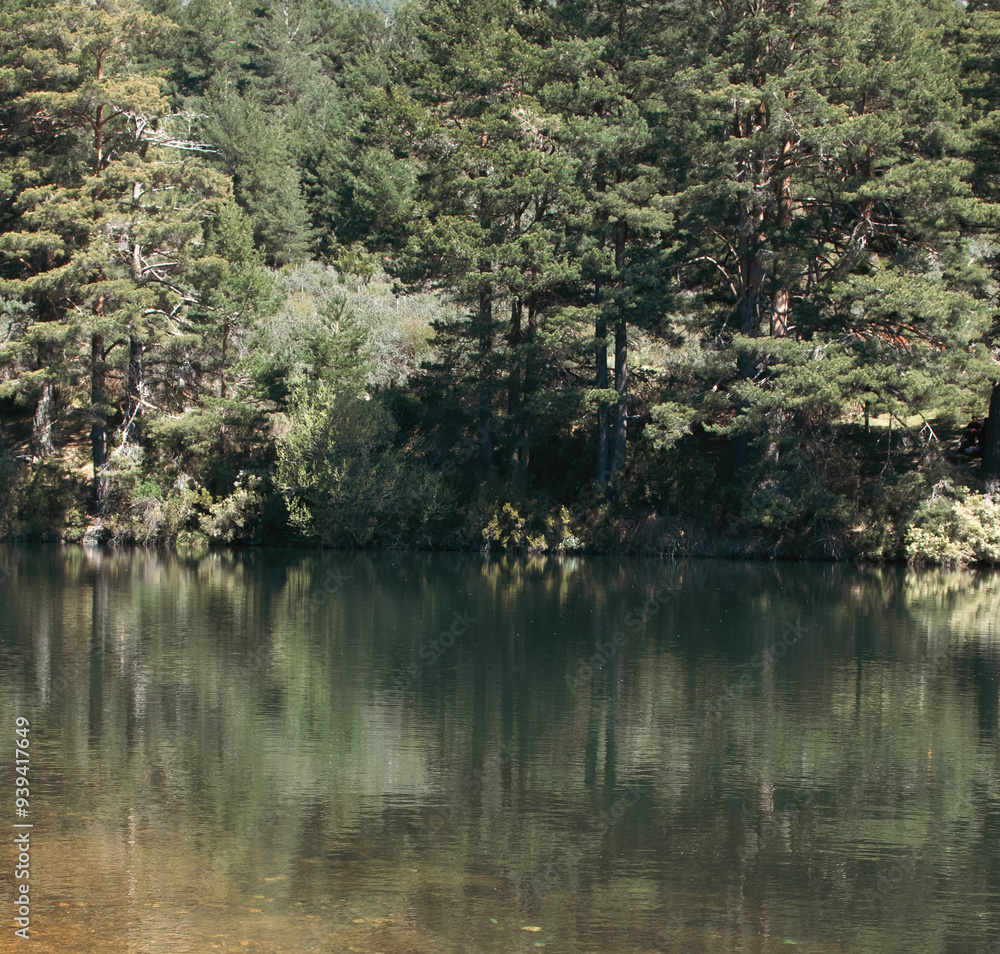 Lake with the relflection of the trees in the water Lake with the relflection of the trees in the water