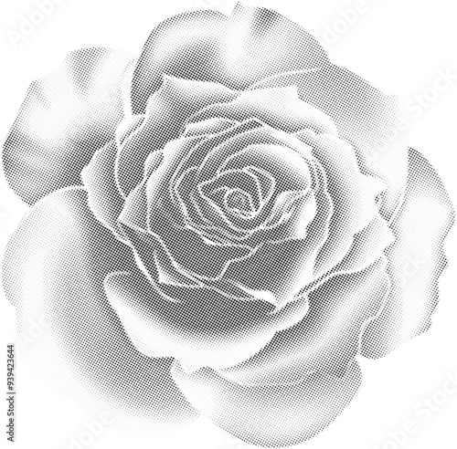 Halftone bitmap grunge dot texture photocopy effect rose flower