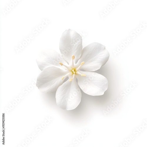 A 3D single icon of a delicate white jasmine flower with small star-shaped petals symbolizing purity. The icon is rendered in a simple style against a white background